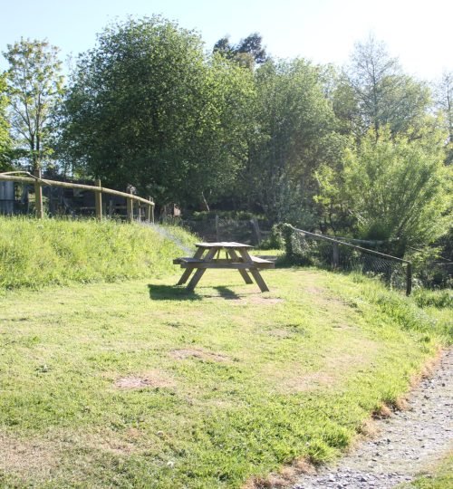 Jardin